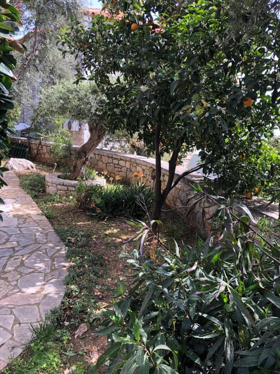 Villa Amanda Neokhorion  Esterno foto